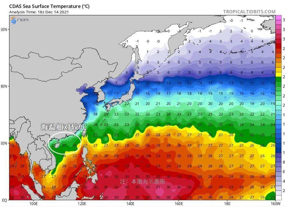 广东省明天天气预报及台风动态分析