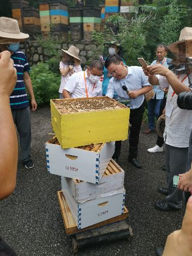 广东詹氏蜜蜂世家蜂业发展有限公司，蜜蜂产业的佼佼者