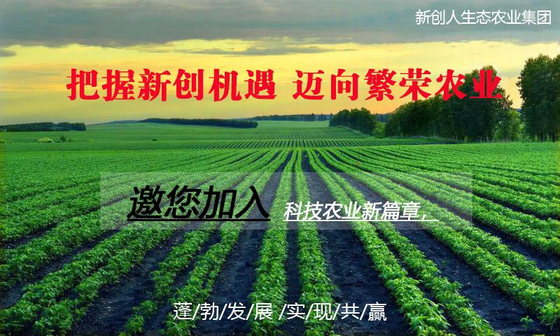 江苏宁禾农业科技，引领现代农业科技发展的先锋力量