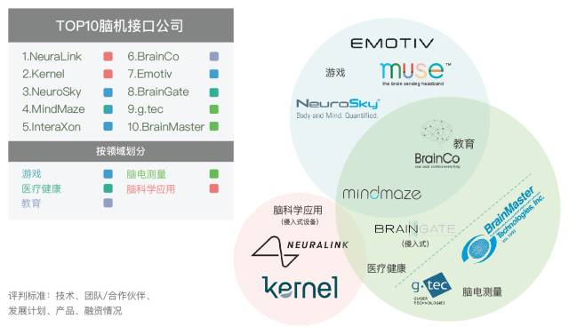 广东佛山福和有限公司，深度解析其发展历程与独特优势