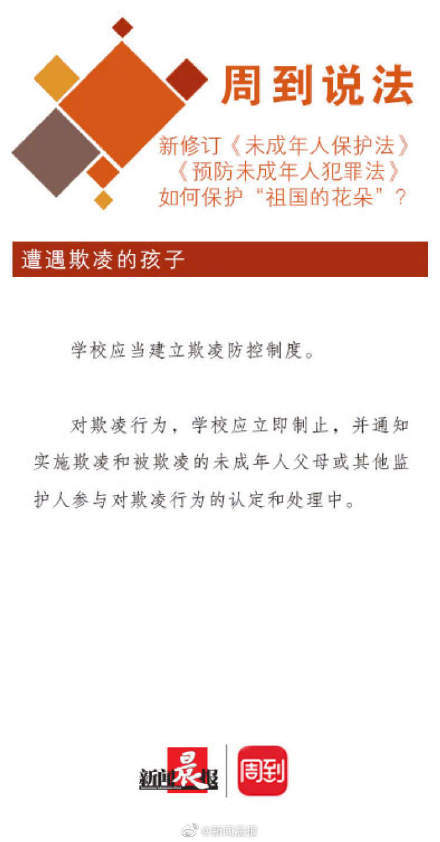 澳门知识专家解析，广东省康敏简历概览