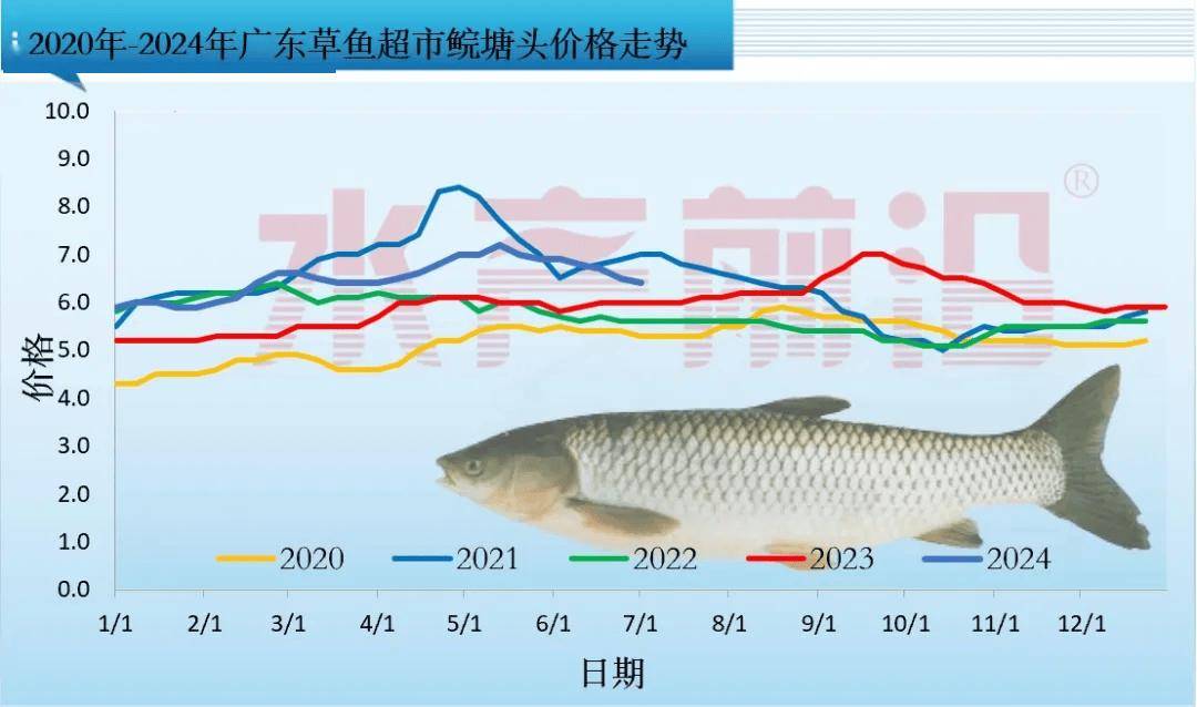 广东省蛇类批发，澳门知识专家解读行业现状与发展趋势