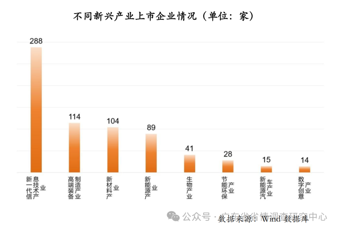 广东新兴材料有限公司，深度解析其在澳门及泛珠三角区域的影响力与贡献