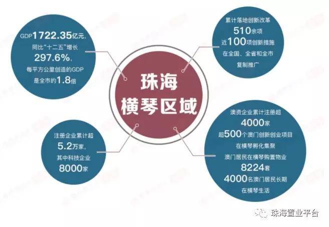 广东亿华投资有限公司，深度解析其在澳门及泛珠三角区域的发展策略与影响