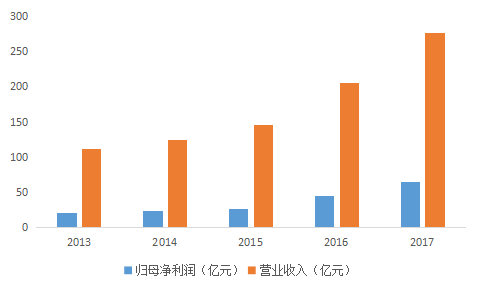 广东正广有限公司，深度解析其在澳门及周边的业务布局与发展战略